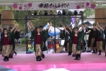 京都さくらよさこい