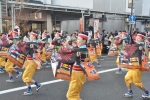 よさこい東海道 沼津祭り